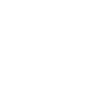 dev-wp